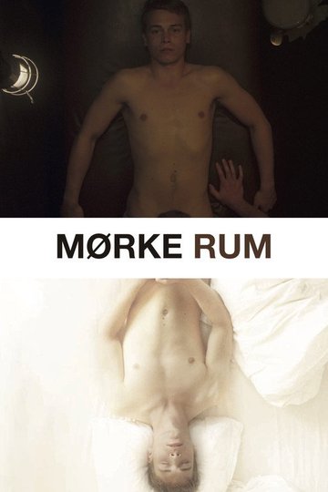 Locandina di Mørke rum