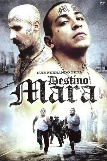 Locandina di Destino Mara