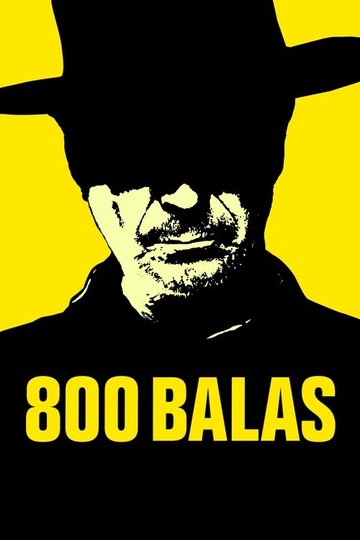 Locandina di 800 pallottole