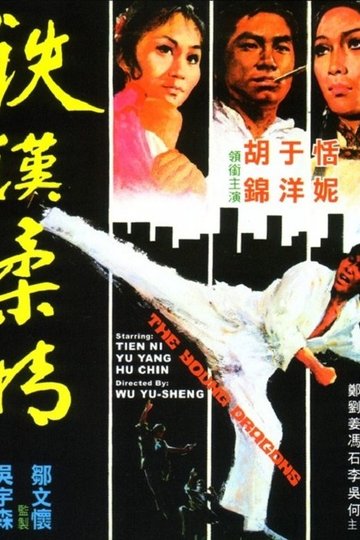 Locandina di 鐵漢柔情