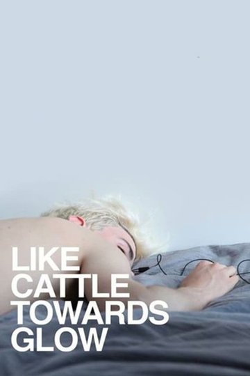 Locandina di Like Cattle Towards Glow