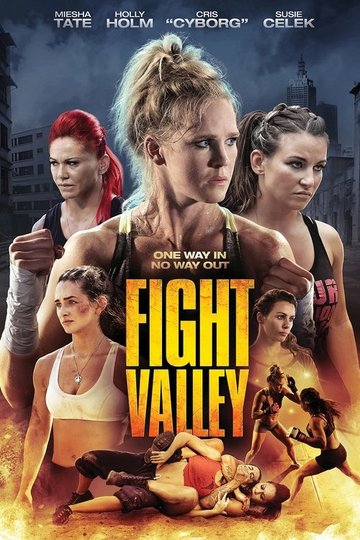 Locandina di Fight Valley