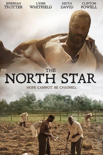 Locandina di The North Star