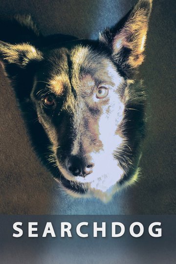 Locandina di Searchdog
