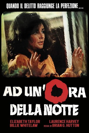 Locandina di Ad un'ora della notte