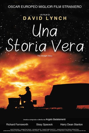Locandina di Una storia vera