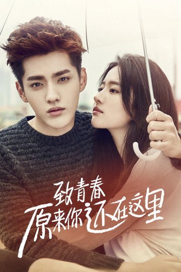 Locandina di 致青春·原来你还在这里