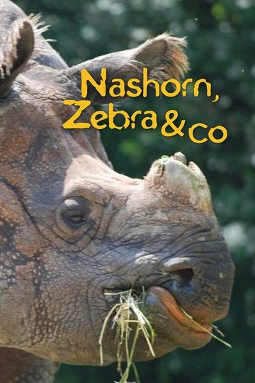 Locandina di Nashorn, Zebra & Co.