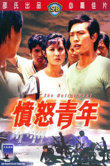 Locandina di 憤怒青年