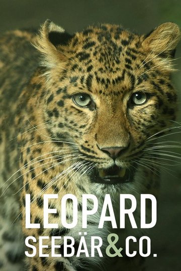 Locandina di Leopard, Seebär & Co.