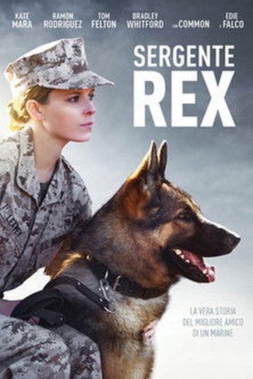 Locandina di Sergente Rex