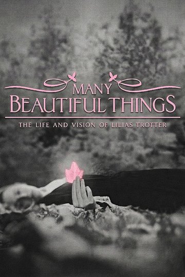 Locandina di Many Beautiful Things