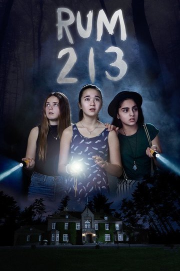 Locandina di Rum 213