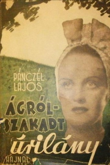 Locandina di Ágrólszakadt úrilány