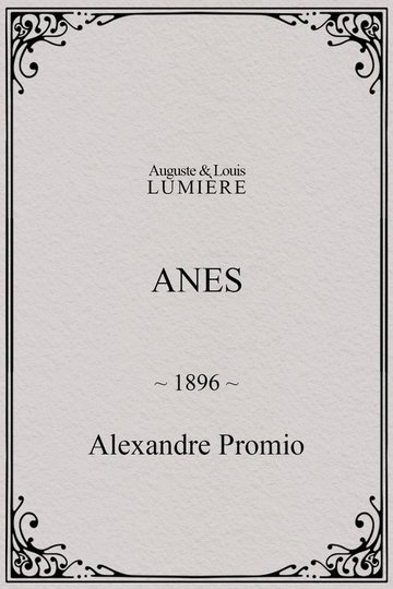 Locandina di Anes