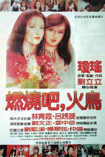 Locandina di 燃燒吧，火鳥