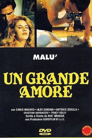 Locandina di Un grande amore