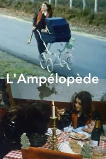 Locandina di L'Ampélopède