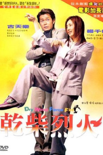 Locandina di 乾柴烈火