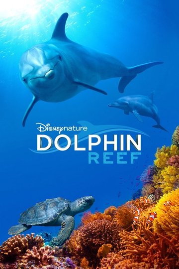 Locandina di Echo - Il delfino