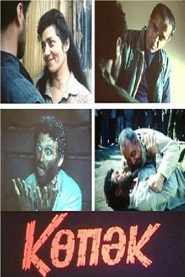 Locandina di Köpək
