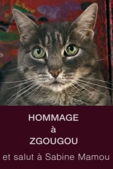 Locandina di Hommage à Zgougou (et salut à Sabine Mamou)