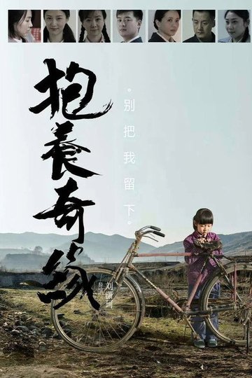 Locandina di 抱养奇缘