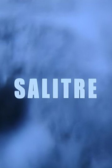 Locandina di Salitre