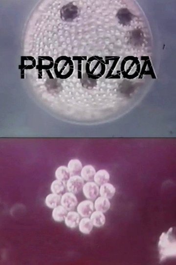 Locandina di Protozoa