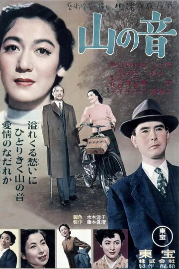 Locandina di 山の音