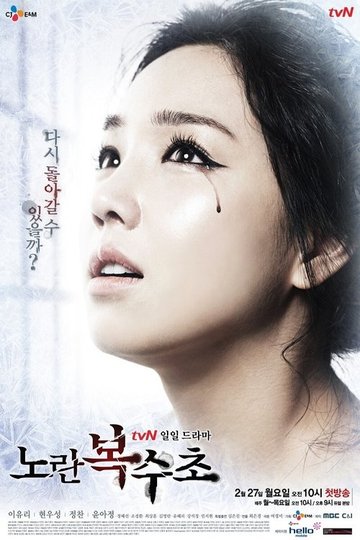 Locandina di 노란 복수초