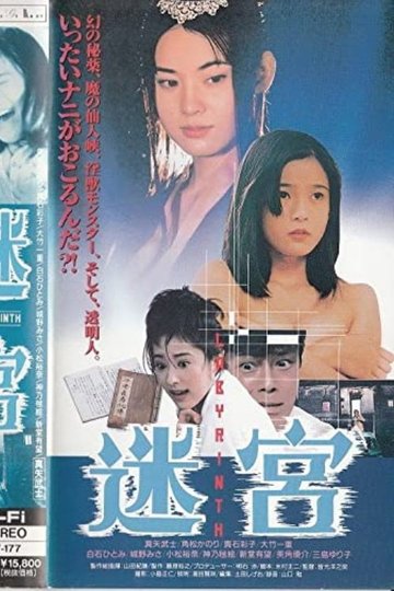 Locandina di 迷宮