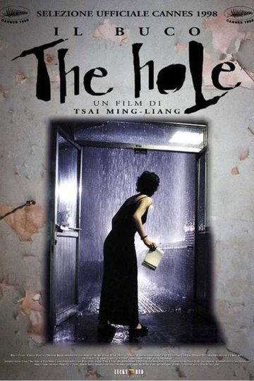 Locandina di The Hole - Il buco