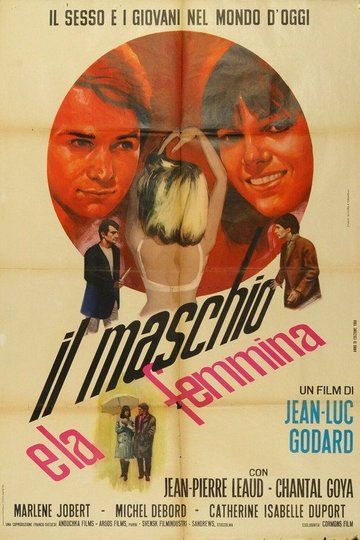 Locandina di Il maschio e la femmina