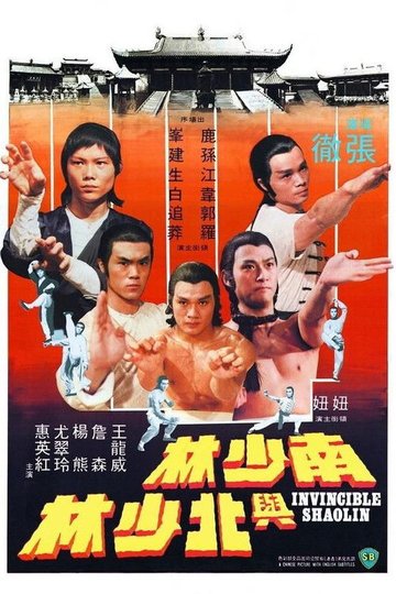 Locandina di 南少林與北少林