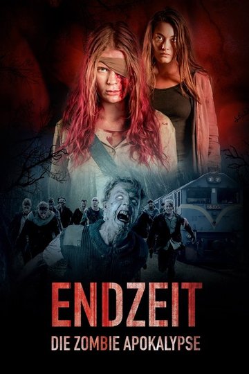 Locandina di Endzeit