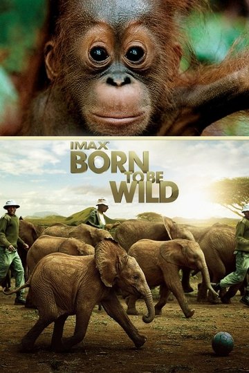Locandina di Born to Be Wild