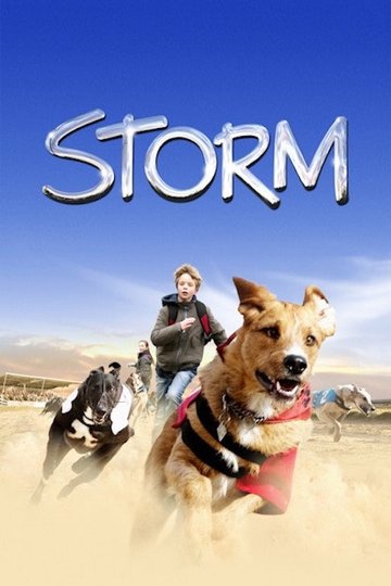 Locandina di Storm - Una tempesta a 4 zampe