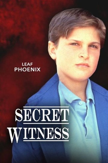 Locandina di Secret Witness