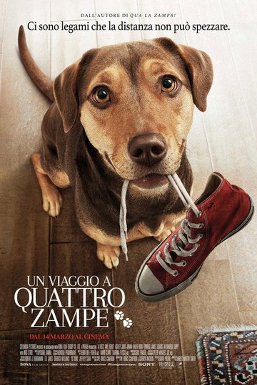 Locandina di Un viaggio a quattro zampe
