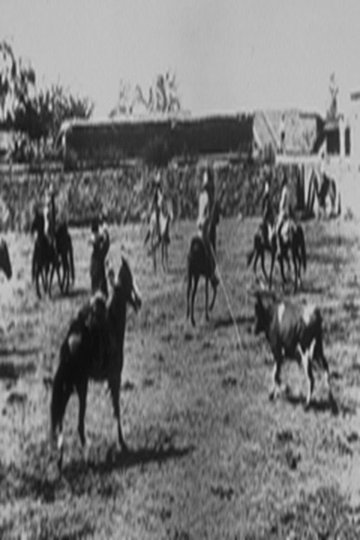 Locandina di Lassage d'un boeuf sauvage