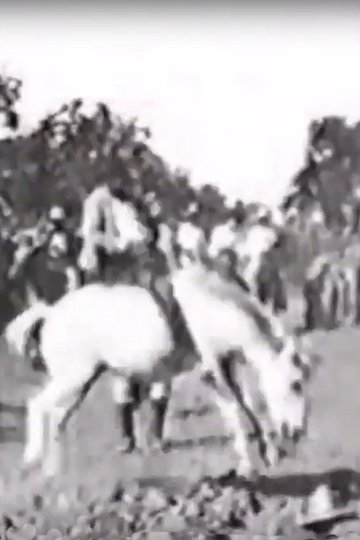 Locandina di Cavalier sur un cheval rétif