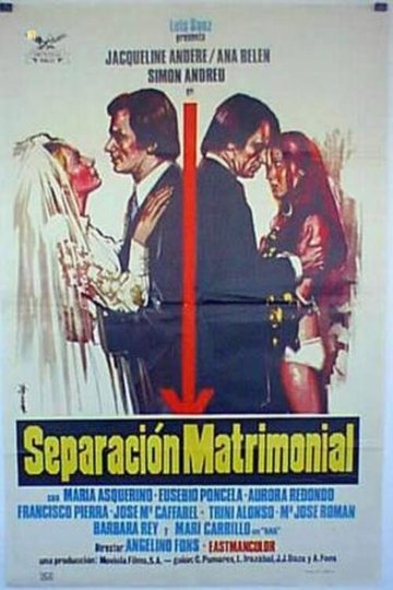 Locandina di Separación matrimonial