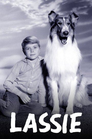 Locandina di Lassie