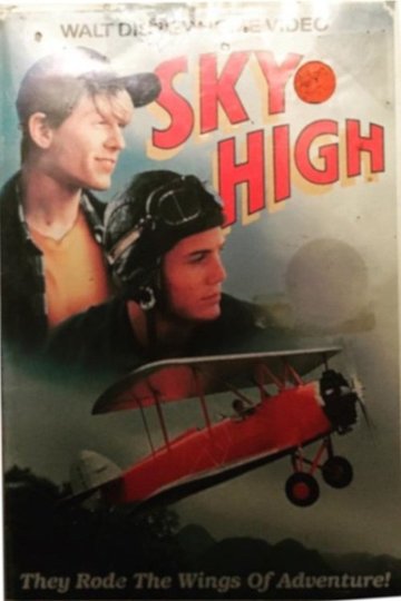 Locandina di Sky High
