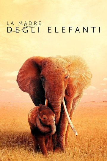 Locandina di La madre degli elefanti