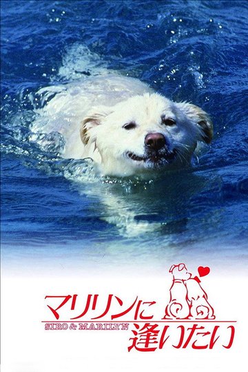 Locandina di マリリンに逢いたい