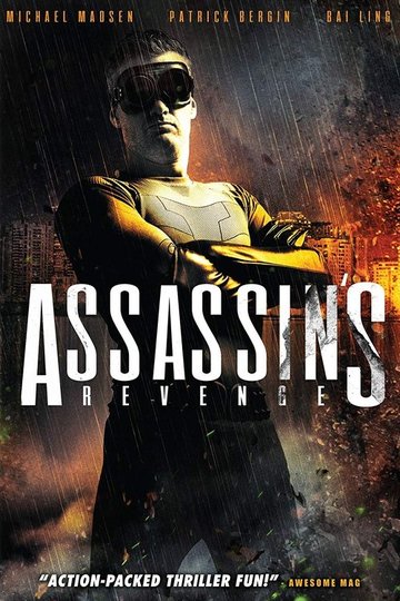 Locandina di Assassins Revenge
