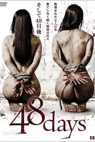 Locandina di 48days