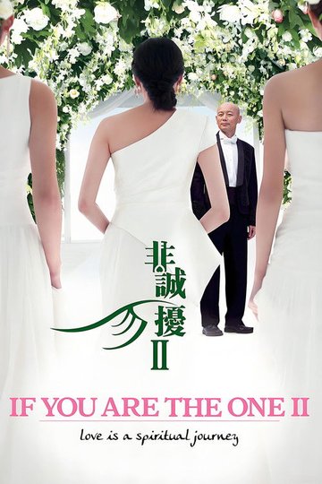 Locandina di 非诚勿扰2
